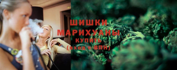 винт Бронницы