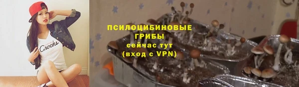 винт Бронницы