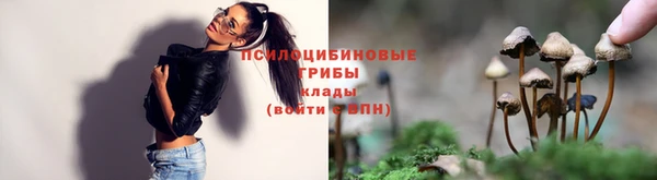 гидропоника Бородино