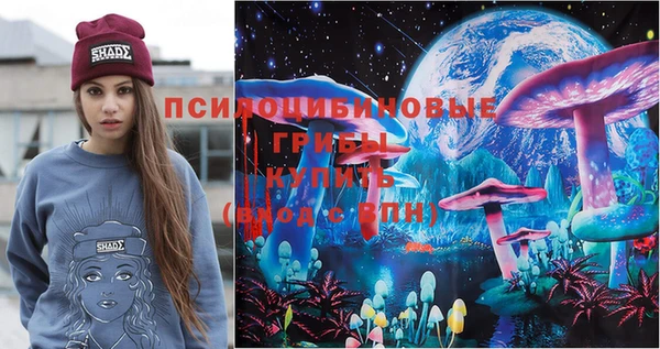 винт Бронницы